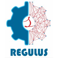 Regulus Soft Solutions Pvt. Ltd. logo - Similar company to Onegrade Solutions