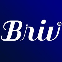 BRIV® Solutions Consultancy logo - Similar company to Nulisec