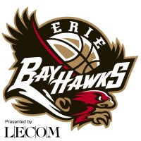 Erie BayHawks logo - Similar company to Erie Seawolves
