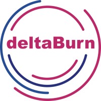deltaBurn Pte. Ltd. logo - Similar company to Cloud Native Latvia