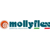 MOLLYFLEX S.R.L. logo - Similar company to Megori Srl