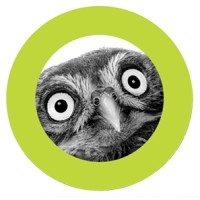 Birdseye Marketing & Communications