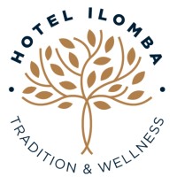 HOTEL ILOMBA logo - Similar company to Rsd Institute
