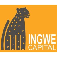 Ingwe Capital logo - Similar company to Viewpoint Consultants