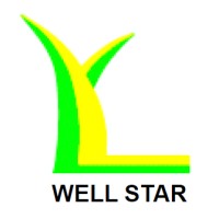 Wellstar Industries Ltd logo - Similar company to Nxxt Advies Groep
