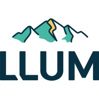 LLUM logo - Similar company to Sergio Cordero
