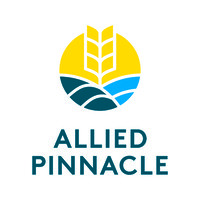Allied Pinnacle logo - Similar company to D