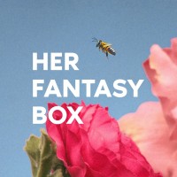Her Fantasy Box logo - Similar company to Web Analytics Solution