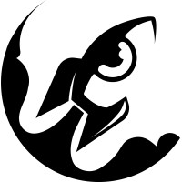 Visionary Media logo - Similar company to Trismile Gmbh
