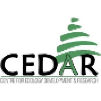 Cedar