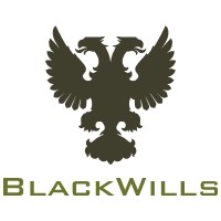Blackwills Network logo - Similar company to Space-Plug Ltd