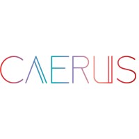 Caerus Digital logo - Similar company to Caerus