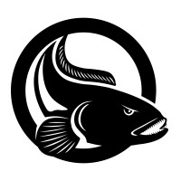 Bowfin Tech logo - Similar company to Institute Of Data & Analytics