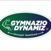 Gymnazio Dynamiz logo - Similar company to Relives