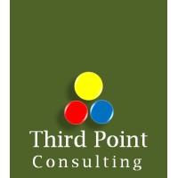 Third Point Consulting Limited logo - Similar company to Sygnius Bpo
