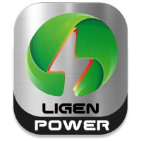 Ligen Power logo - Similar company to Diy Electronics Us