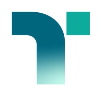 Niagara Transit logo - Similar company to Maes Computing