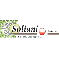 SOLIANI S.A.S. logo - Similar company to 1Trueid