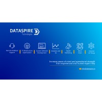 Dataspire Technology logo - Similar company to Dataspire Technologies Private Limited
