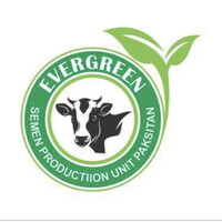 Evergreen sires logo - Similar company to Evergreen Farm