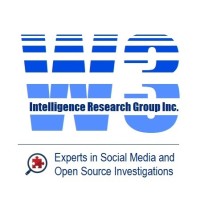 W3 Intelligence Research Group logo - Similar company to Vailent