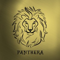 PANTHERA ENTERTAINMENT logo - Similar company to Vxsn