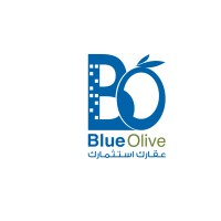 Blue Olive Real Estate logo - Similar company to Al Daoud Group