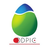 Office Djiboutien de la Propriété Industrielle et Commerciale (ODPIC) logo - Similar company to Iib