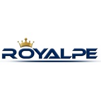 ROYALPE SERVICES PVT LTD logo - Similar company to My Payment Bazaar