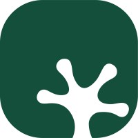 Bullfrog Recruiting Solutions logo - Similar company to Infinite Scholar Program