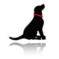 Blackdog Advisors, Llc