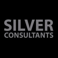 Silver Consultants logo - Similar company to A1 Digital Solutions