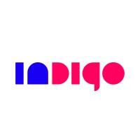indigo online AG logo - Similar company to Kiddos.Ch