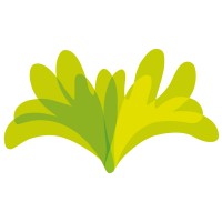 Studio Clariça Lima logo - Similar company to Dsign/Sa