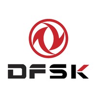 DFSK France logo - Similar company to Armada Location