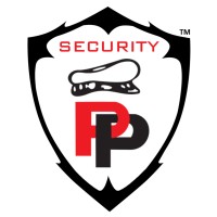 Perfect Protection Security Services LLC logo - Similar company to Black Eye Security Services