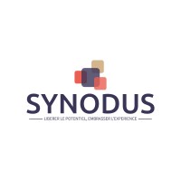 SYNODUS logo - Similar company to E-Cruitment