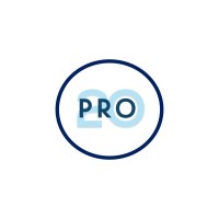 Pro20 Srl logo - Similar company to One Team Group