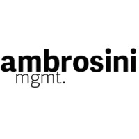 Ambrosini Mgmt. logo - Similar company to Brandangels