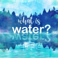What is Water? logo - Similar company to Wiseonwater