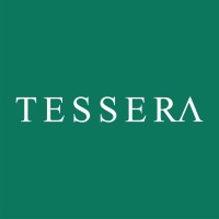 Tessera logo - Similar company to Hive Foundation