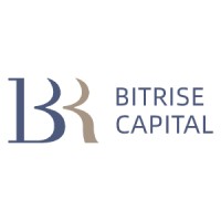 BITRISE CAPITAL FOUNDATION PTE.LTD. logo - Similar company to Web3Labs