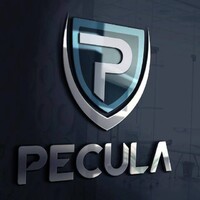 Pecula Solutions Private Limited logo - Similar company to Blueburn Technologies
