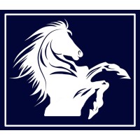 Stallion Consulting Group, LLC logo - Similar company to Starzero