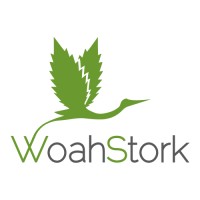 WoahStork logo - Similar company to Digital Security Solutions