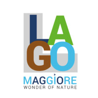 LAGO MAGGIORE logo - Similar company to Spring Srl
