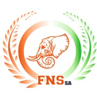 Fondation NUMU Service logo - Similar company to Fune Info Africa
