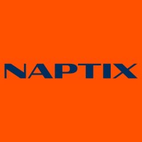 Naptix Advisory logo - Similar company to Napptix