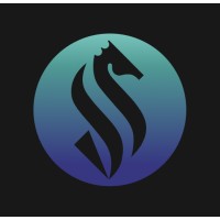 Saddle logo - Similar company to Storm Technologies, Inc.
