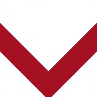 Vanguard Academy of Learning logo - Similar company to Oracle